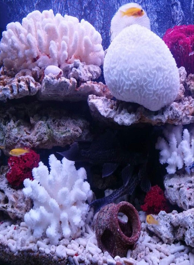 Besimple Pack of 2 Artificial Coral Ornament, Aquarium Resin Coral Decor Underwater Sea Plants Fish Tank Decoration Aquarium Plants - Image 3